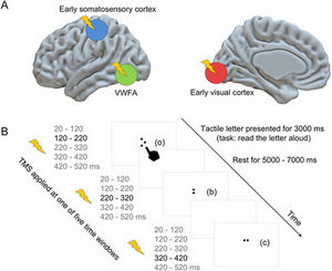 Recent publication of SzwedLab